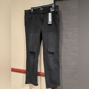 Jordache Straight High Rise